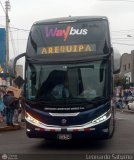 Way Bus (Per)
