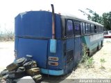 En Chiveras Abandonados Recuperaci�n 0302 Sencillo por Alejandro Curvelo