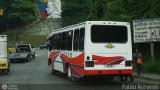 MI - Lnea Miranda 046