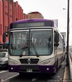 Consorcio del Corredor Morado (Per) 026, por Leonardo Saturno