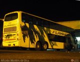Expresos Flamingo 0107