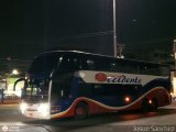 Expresos Occidente 220