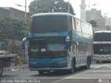 Los Pjaros de Lara 003, por Alfredo Montes de Oca