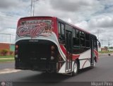 A.C.C. Turgar 01