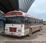 Colectivos Cachiri 25, por Sebastin Mercado