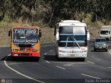 Transportes Uni-Zulia 2008