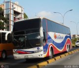 Expresos Occidente 348