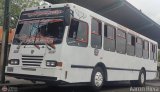 L�nea Carache 007