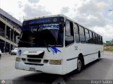 Cooperativa Canaima 47 por �ngel Sal�n