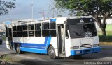 CA - Unipal Las Palmitas 308, por Andrs Ascanio
