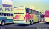 Expresos Flamingo 85