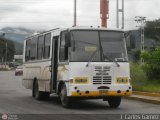 A.C. de Transporte La Raiza 031, por J. Carlos Gmez