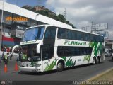 Expresos Flamingo 0102, por Alfredo Montes de Oca