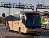 Cetur S.R.L. 956, por Leonardo Saturno