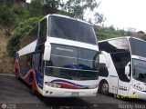 Particular x50, por Ronny Vera