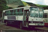 Instituto Municipal de Transporte Colectivo 081, por Crditos: Richard Lukey