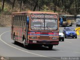 Expresos Pegamar 0019
