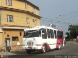 Lnea Los Andes S.C. 033, por Leonardo Saturno
