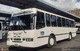 A.C. de Transporte Encarnaci�n 355