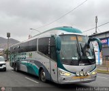 Zbuss S.A.C. 192 por Leonardo Saturno