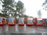Copa Amrica Estadio Pueblo Nuevo 1 Marcopolo Paradiso G6 1200 Scania K420