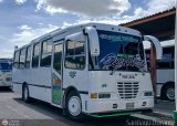 L�nea Tocar S.C. 04