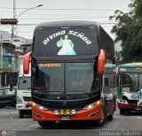 Grupo Divino Se�or S.A.C. (Per�) 208