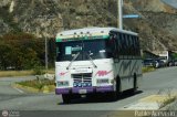 Unin Expresos Tovar