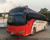 Expreso Almirante Padilla S.A. - EXALPA 8128, por Joseph Puello