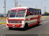 ZU - Los Claveles 55 por Abner Sarcos