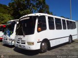 Lnea Los Andes S.C. 046, por Kleyzer Caldern