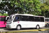 U.C. Los Caminantes 78, por Alvin Rondn