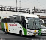 Expreso Internacional Palomino 672, por Leonardo Saturno