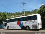 Expresos Del Sur 2028, por Carlos Garca