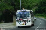 Unin de Conductores Los Caribes 87, por Pablo Acevedo