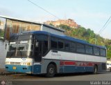 Expresos Del Sur 2029, por Waldir Mata