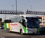 Expreso Internacional Palomino 671, por Leonardo Saturno