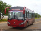 AN - A.C. de Conductores Divino Nio 003, por J. Carlos Gmez