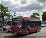 S.C. Lnea Barinitas 016, por Alvin Rondn