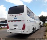 Unin Conductores Ayacucho 2059, por Andrs Ascanio