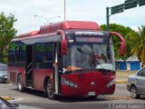C. de Transp. y Serv. Conexos Los Caquetos 023