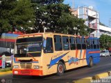 Transporte 1ero de Mayo 009