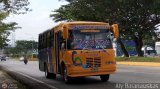 A.C. de Transporte Sol de Tamanaco 28, por Aly Baranauskas