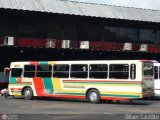Cooperativa Canaima 50