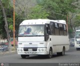 Lnea Miranda (Timotes x Valera) 98, por Darwin Sanchez