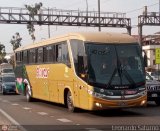 Transporte Flores Hermanos S.R.L (Per) 952