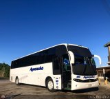 Unin Conductores Ayacucho 2050, por Luis Bentez