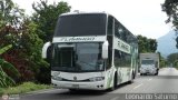 Expresos Flamingo 0102, por Leonardo Saturno