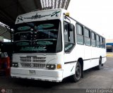 Colectivos La Rosita 011