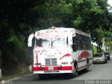 DC - A.C. de Transporte Llanito - Cafetal 95, por Pablo Acevedo